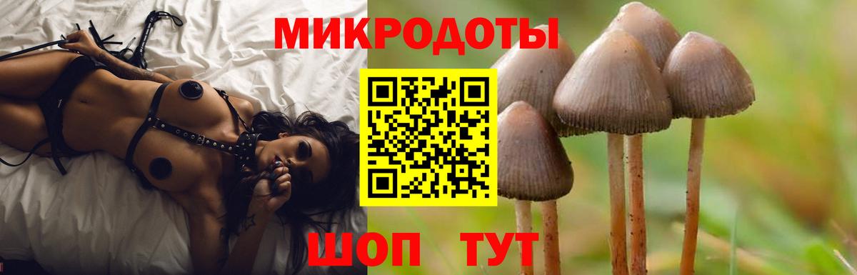 Галлюциногенные грибы мухоморы Чебоксары